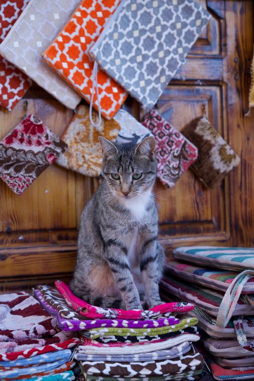 Free Charming tabby cat sits among colorful woven bags and tapestries in an outdoor market. Stock Photo