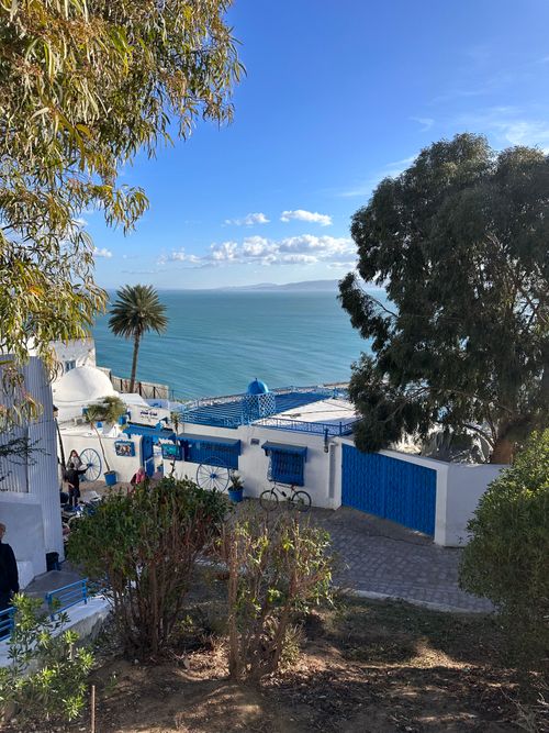 Free Picturesque coastal scene in Sidi Bou Said with blue and white architecture, overlooking the Mediterranean Sea. Stock Photo