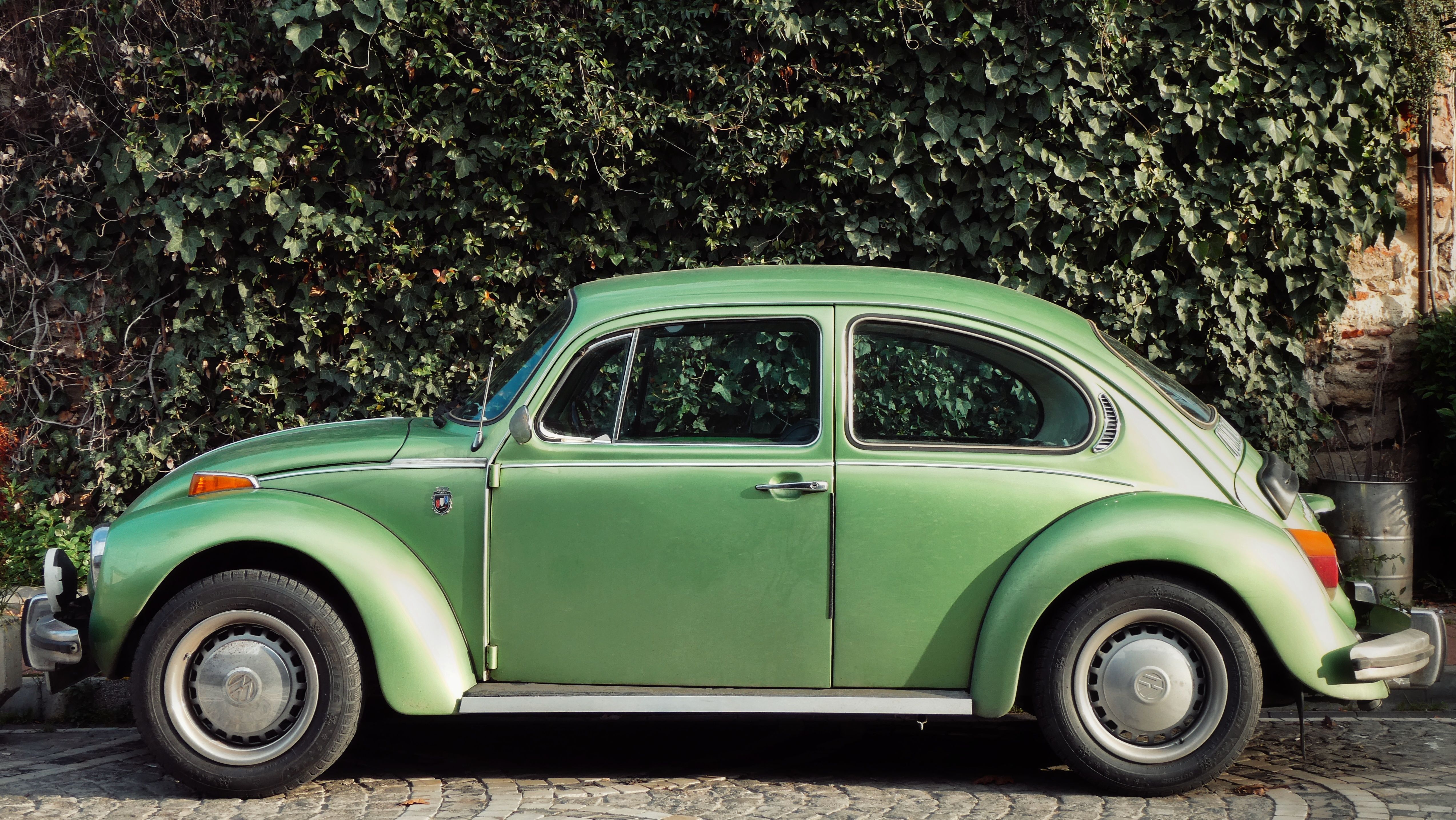 evs explained green transportation — Photo by Büşra on Pexels