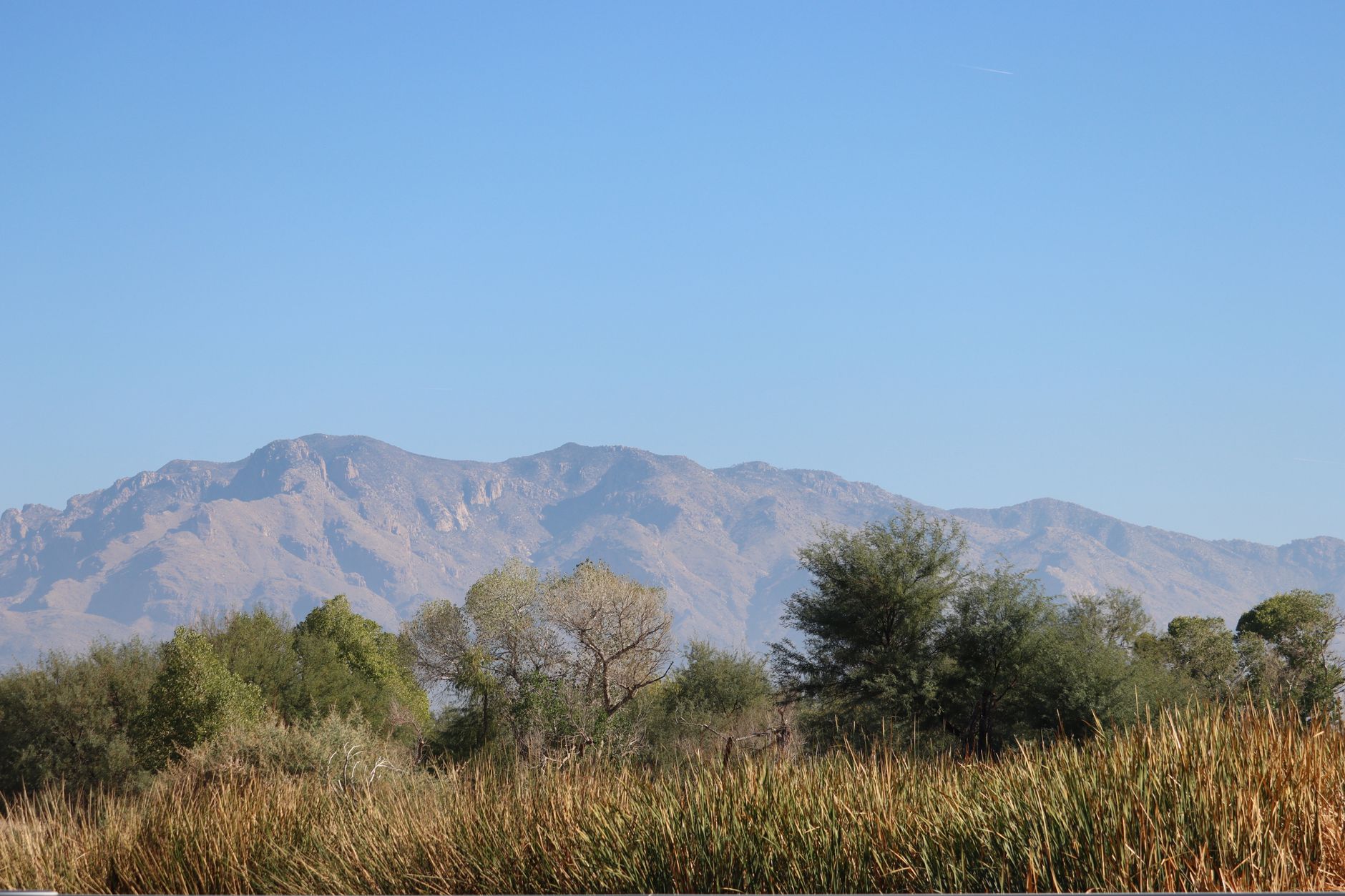 Tucson photo 1