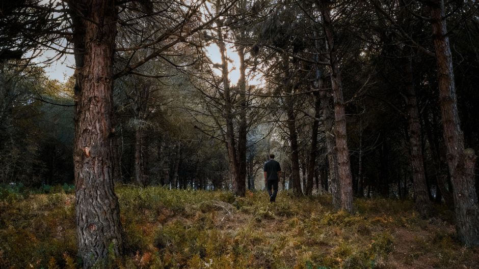 person calm breathing nature walk