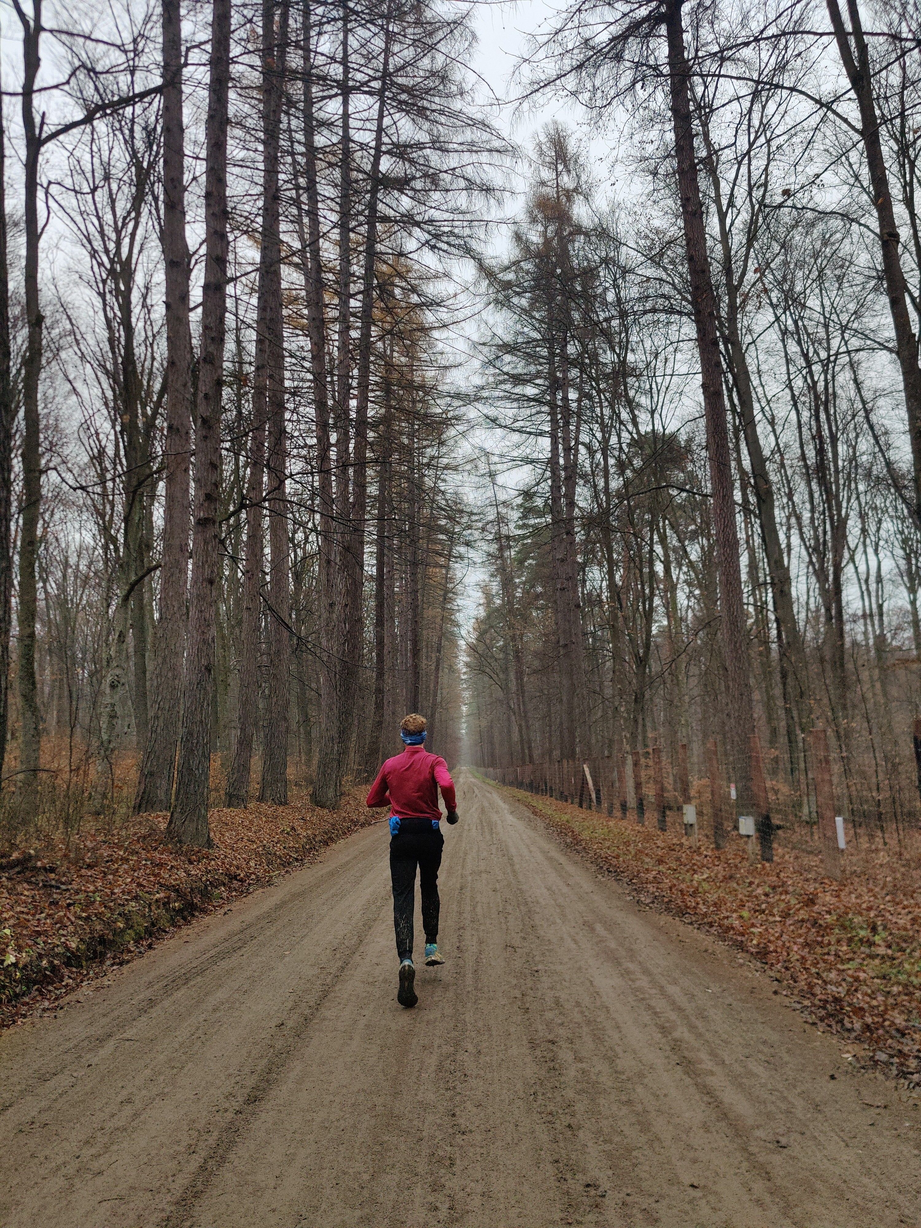 Person running in serene forest path during fall · Free Stock Photo