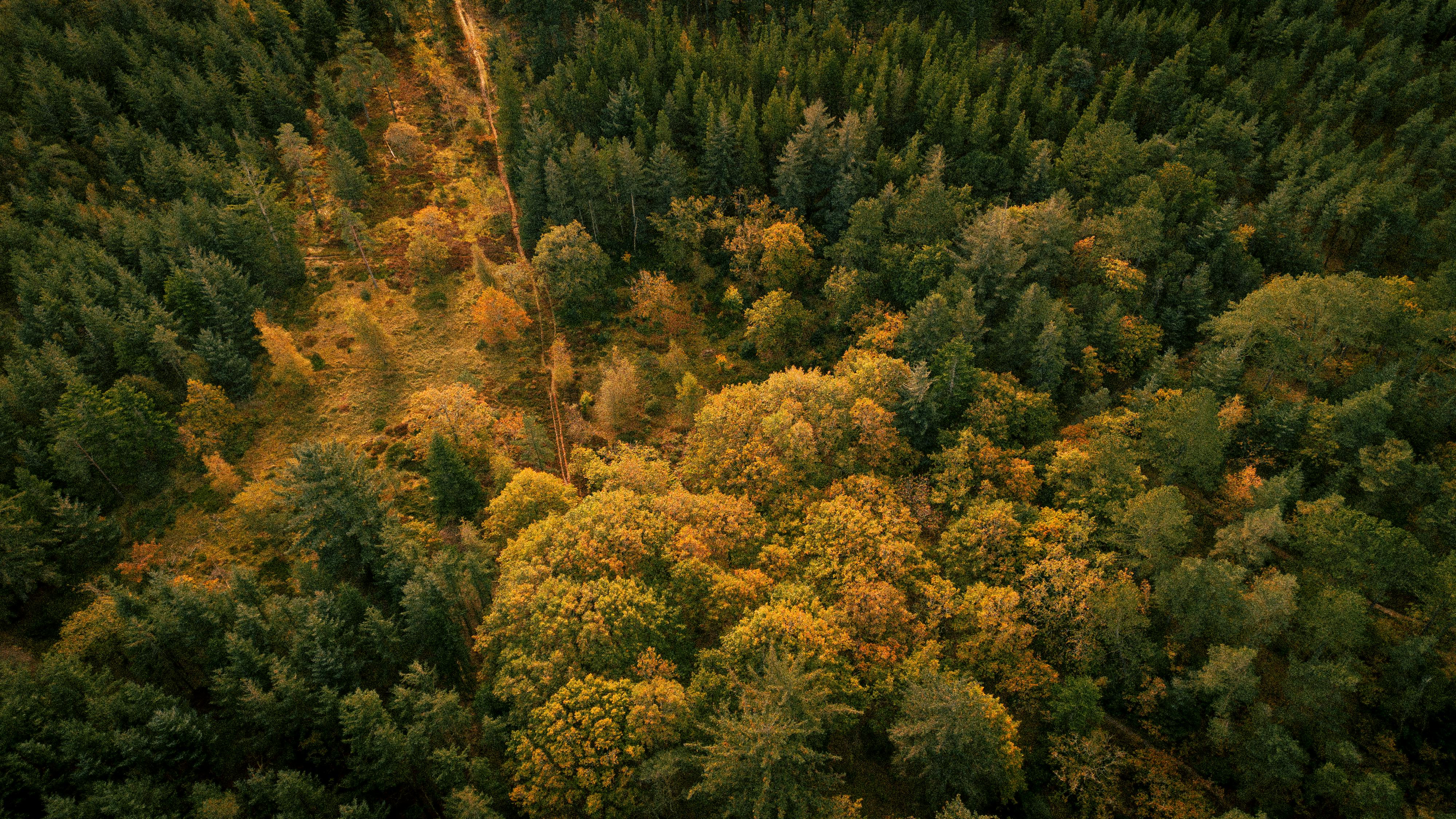 蔡英文突撂重話護綠能 藍營青年警告勿放棄政治遺產