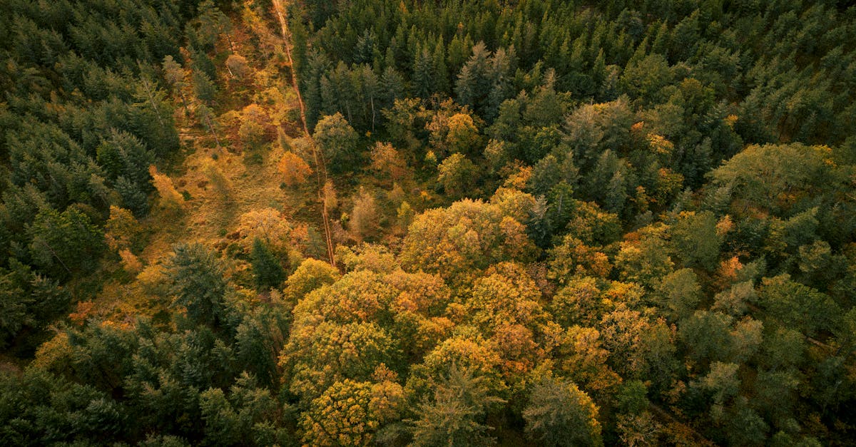 蔡英文突撂重話護綠能 藍營青年警告勿放棄政治遺產