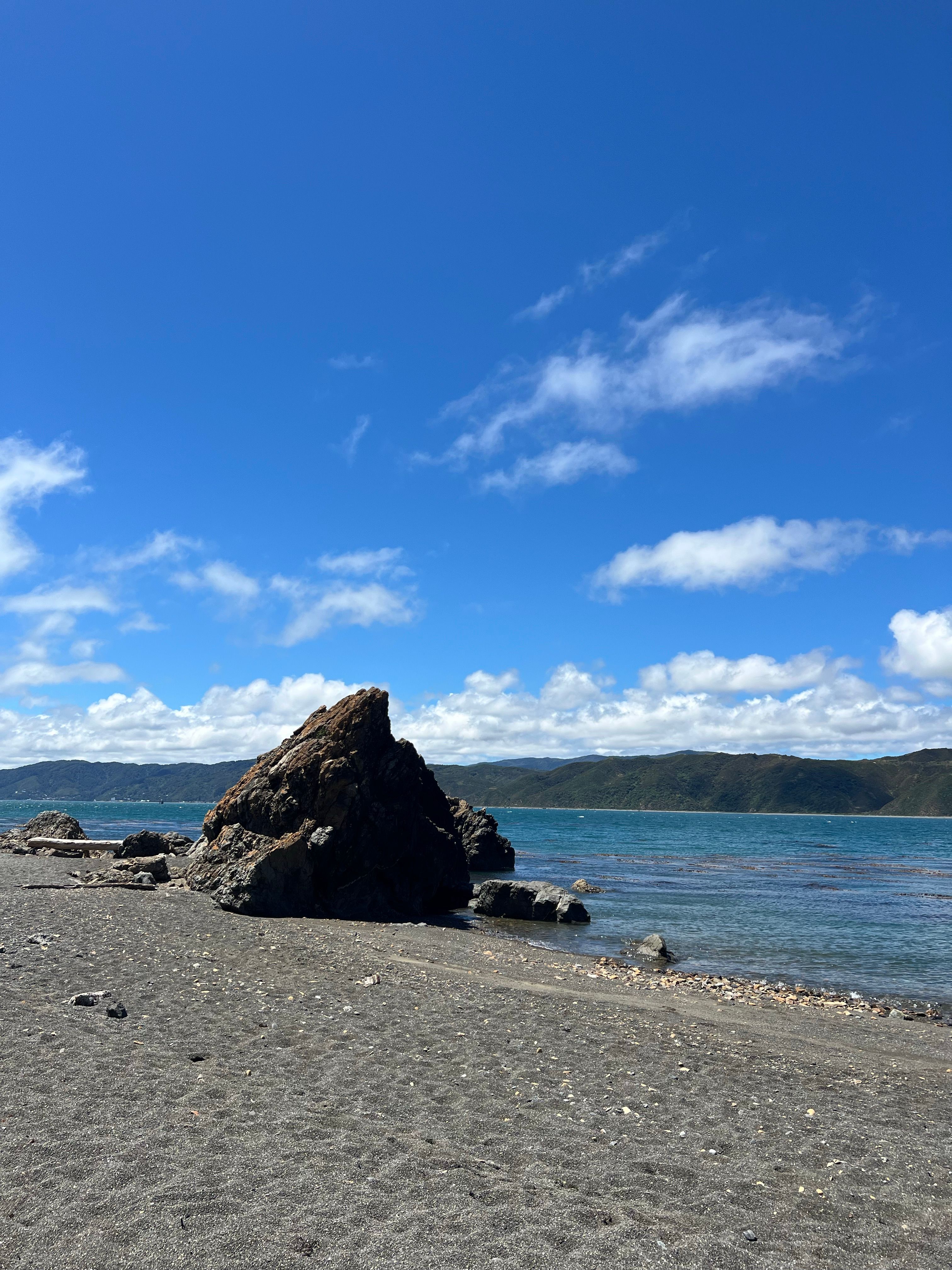 rocky-beach-scene-in-new-zealand-s-natural-beauty-free-stock-photo