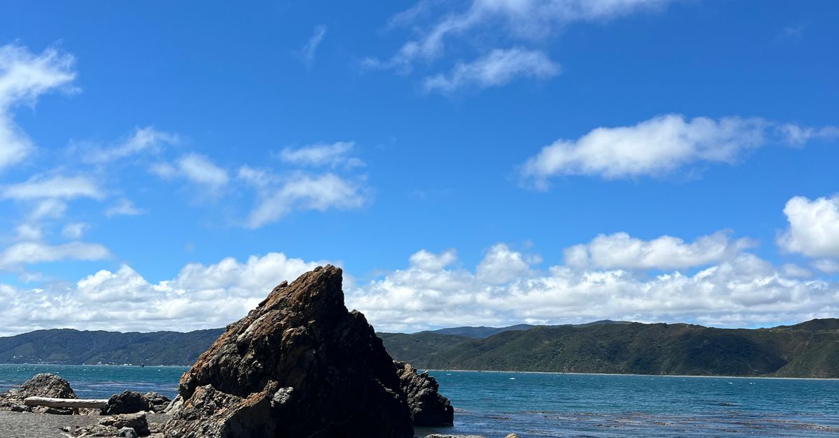 Rocky Beach Scene In New Zealand s Natural Beauty Free Stock Photo rocky-beach-scene-in-new-zealand-s-natural-beauty-free-stock-photo