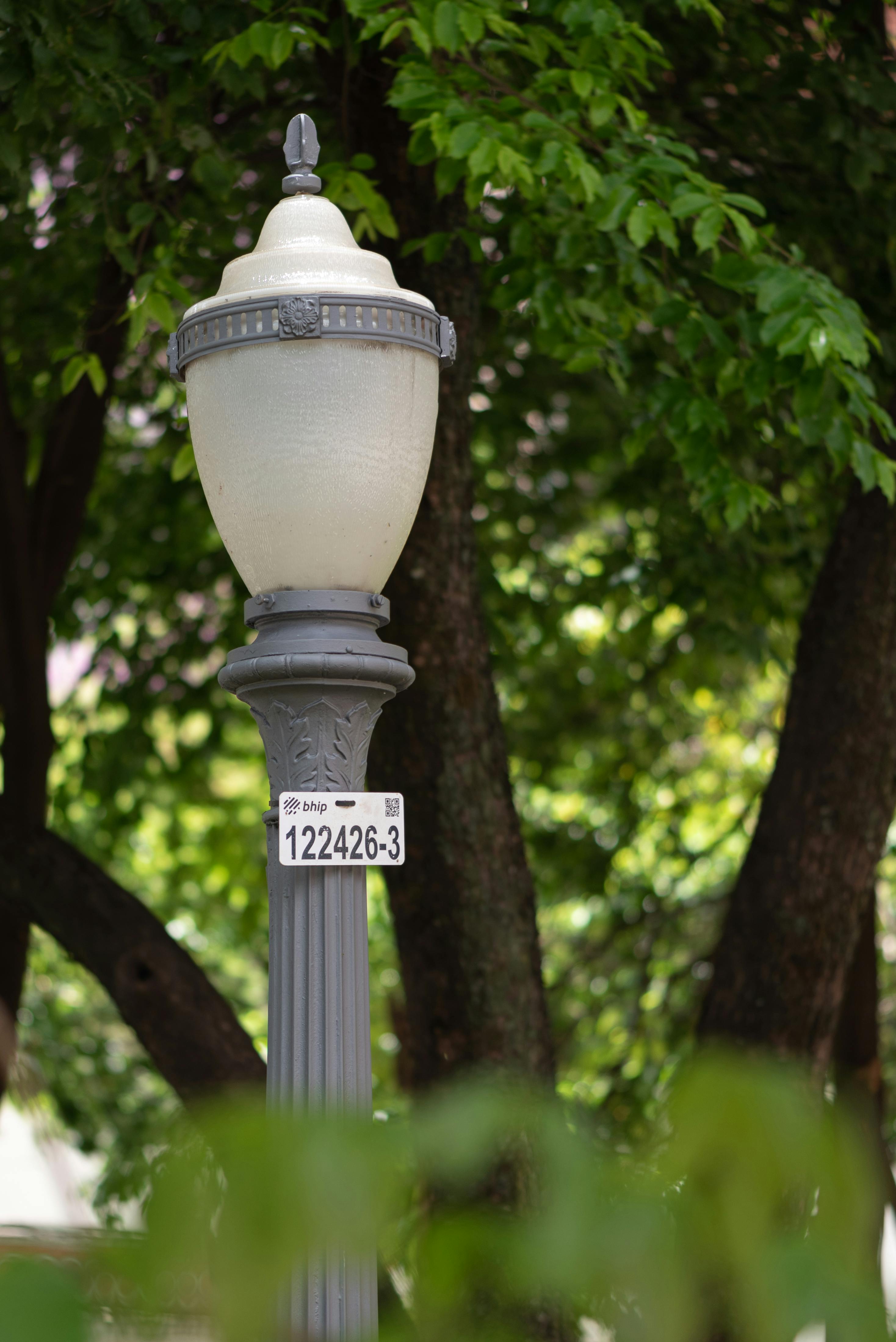 Ornate street lamp surrounded by lush green trees in a city park setting.