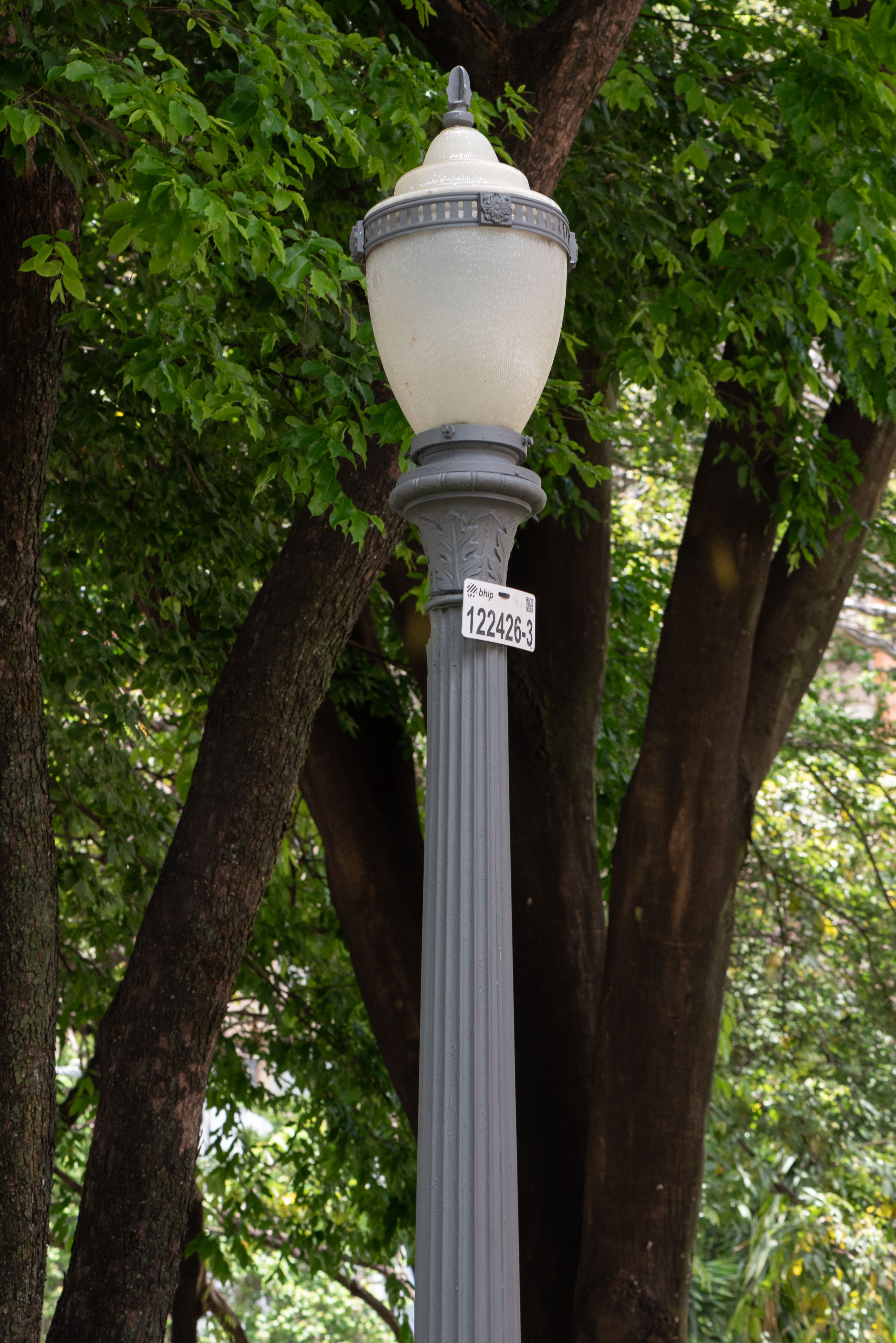 Elegant street lamp amidst lush greenery in a Belo Horizonte park.