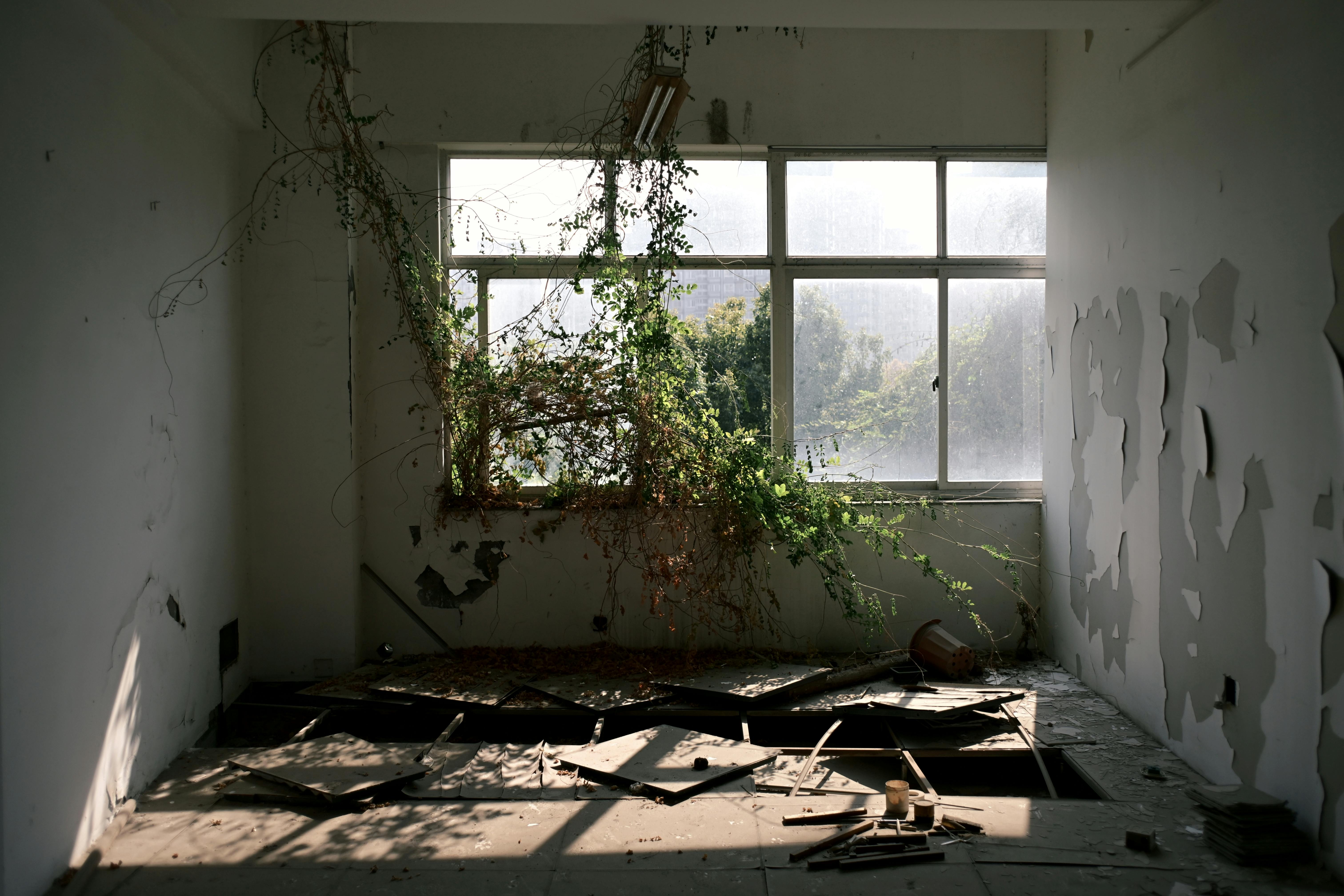 Decentralized App Growth: Unlocking the Future of Blockchain Applications