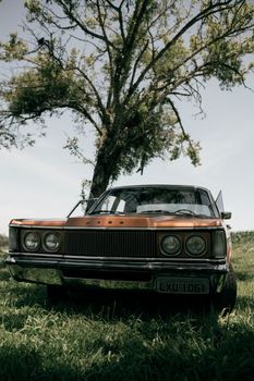 Classic vintage car parked outdoors under a tree on a bright sunny day, surrounded by nature.