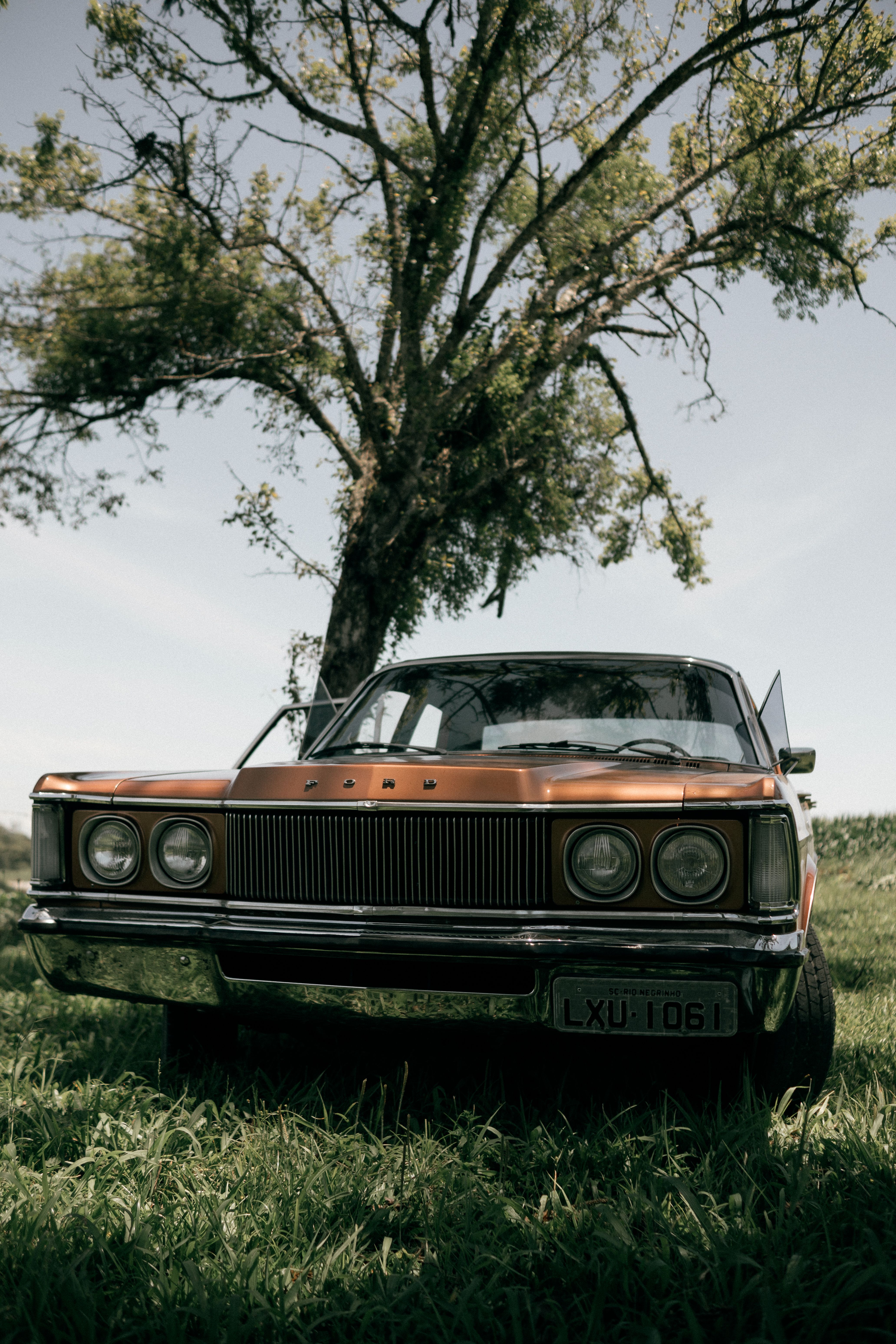 Vintage Car Parked Under Tree on Sunny Day · Free Stock Photo