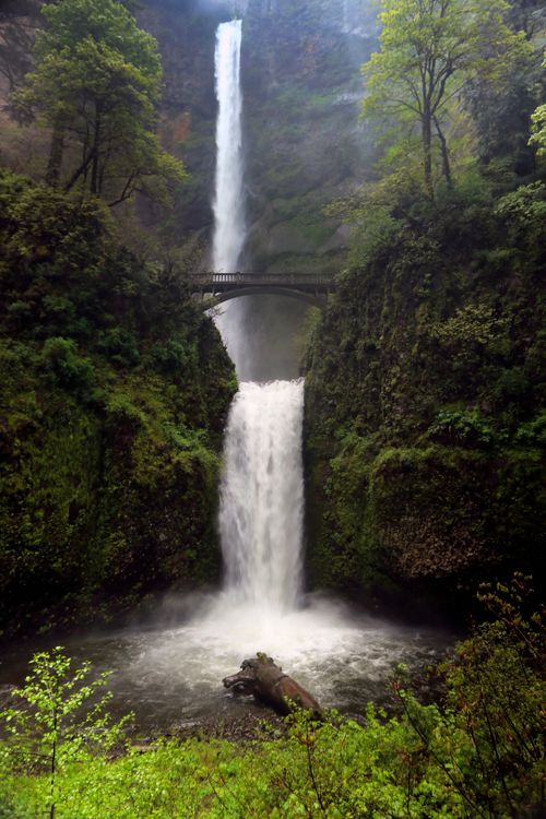 Free Stunning view of Oregon's Multnomah Falls with scenic bridge and lush greenery. Stock Photo