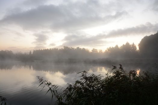 A serene and foggy lakeside scene at sunrise with calm water reflections.