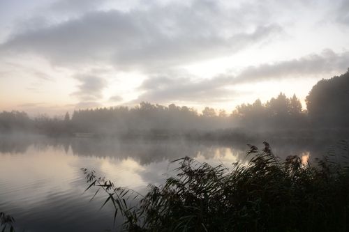 Free A serene and foggy lakeside scene at sunrise with calm water reflections. Stock Photo