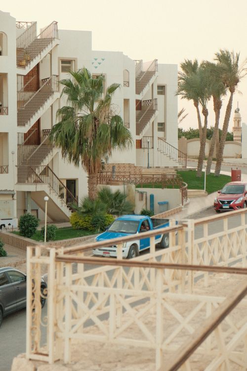 Free A Mediterranean building with palm trees and cars on a sunny street. Stock Photo