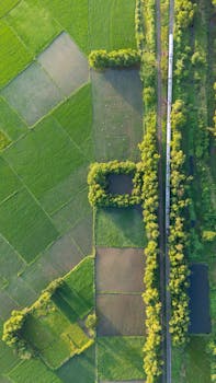 Stunning aerial view of vibrant green fields and a train cutting through the landscape in Bangladesh.