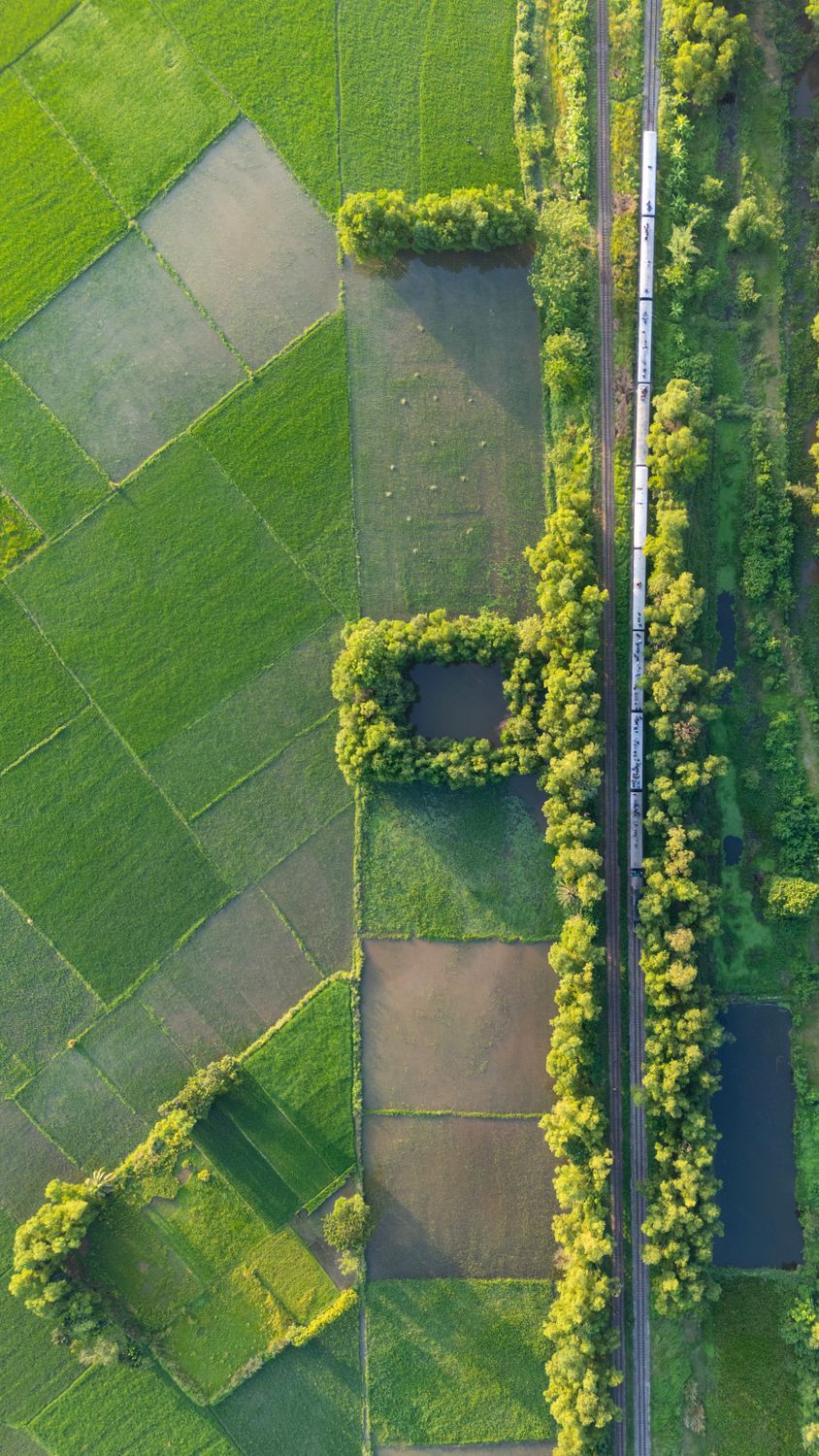 Aerial View of Lush Green Fields and Train in Bangladesh · Free Stock Photo