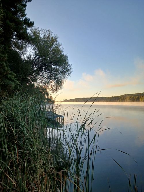 Free Tranquil morning view of a lake surrounded by trees and reeds under a clear sky. Stock Photo