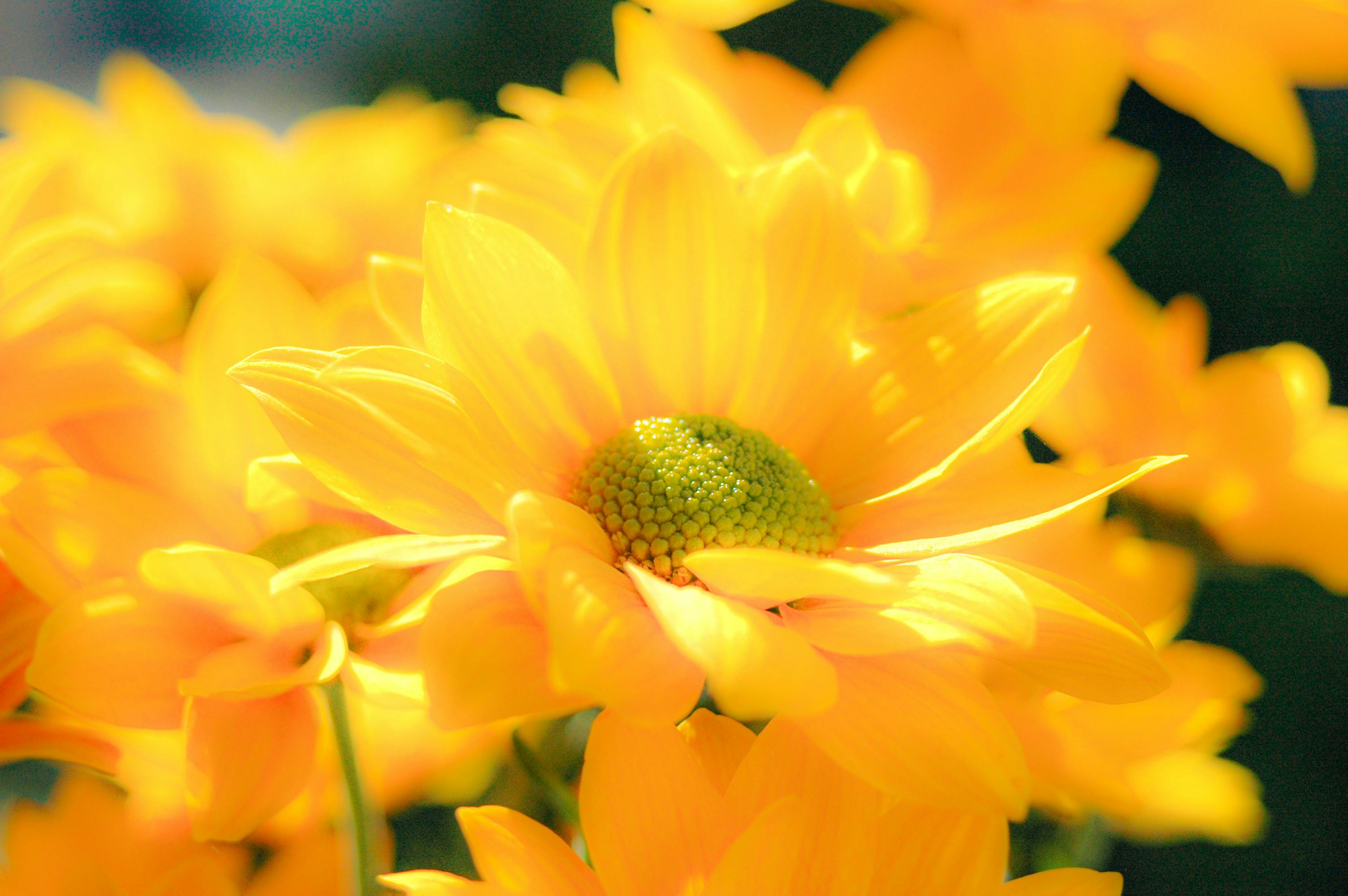 Resume Background Photos, Download The BEST Free Resume Background ...