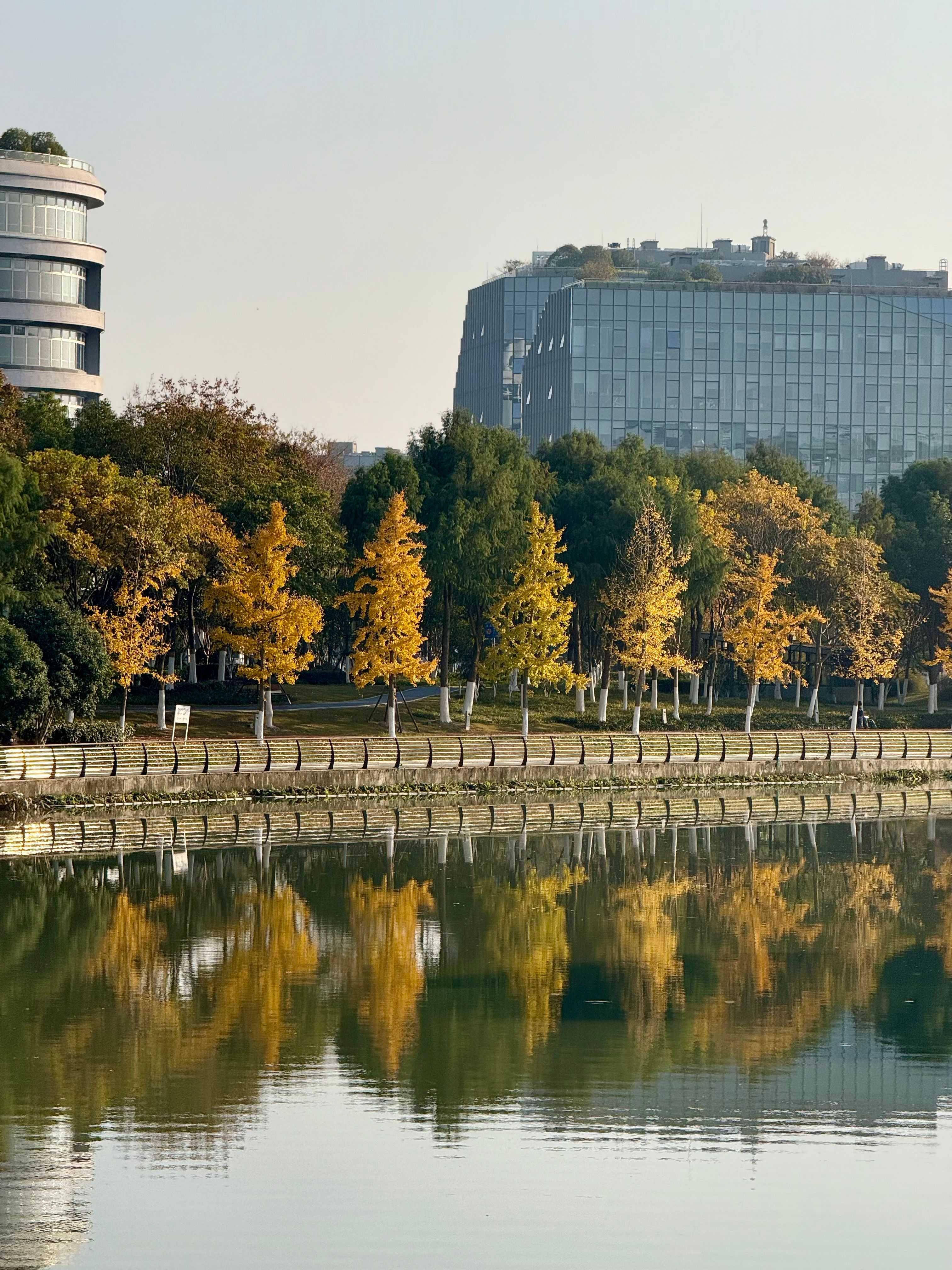 Scenic Autumn Cityscape with Reflective Lake · Free Stock Photo