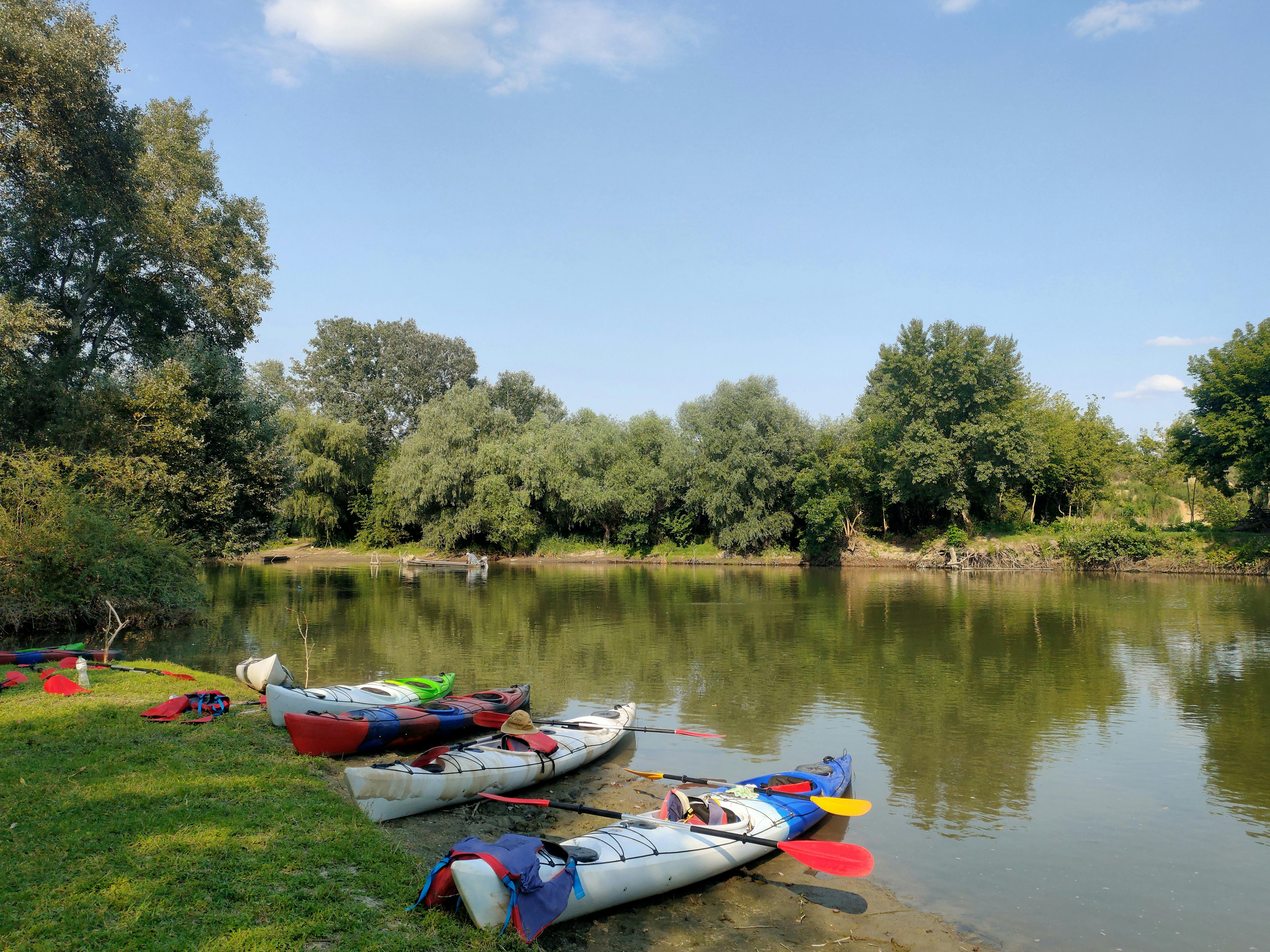 Tranquil river scene with colorful kayaks and lush greenery under clear sky.