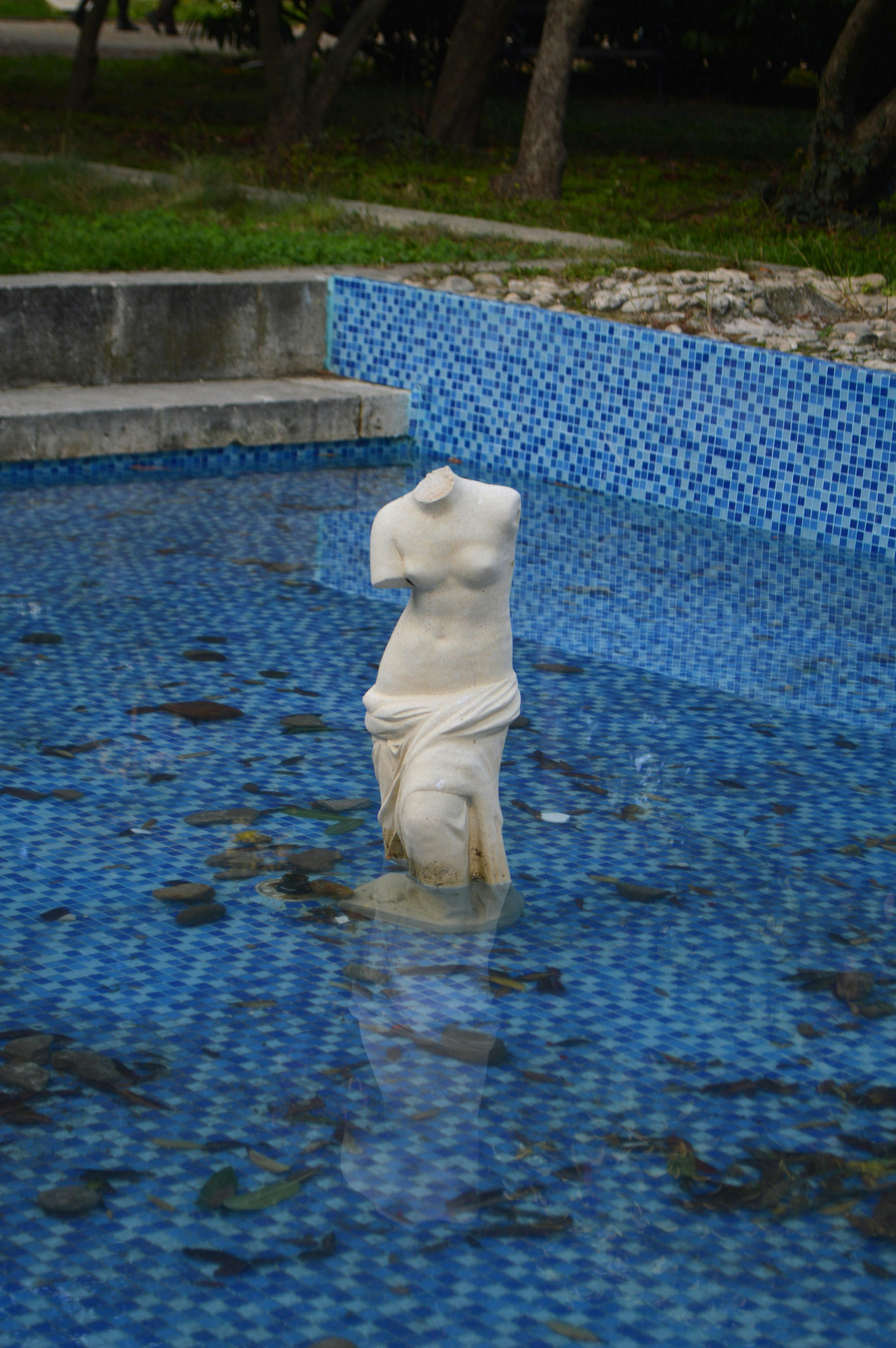 Back  yard Pond Installation