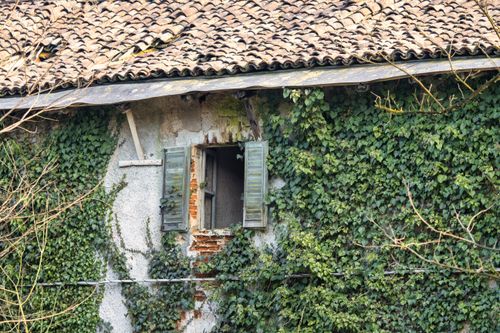 Free An old house with ivy-covered walls and a weathered window, offering rustic charm. Stock Photo