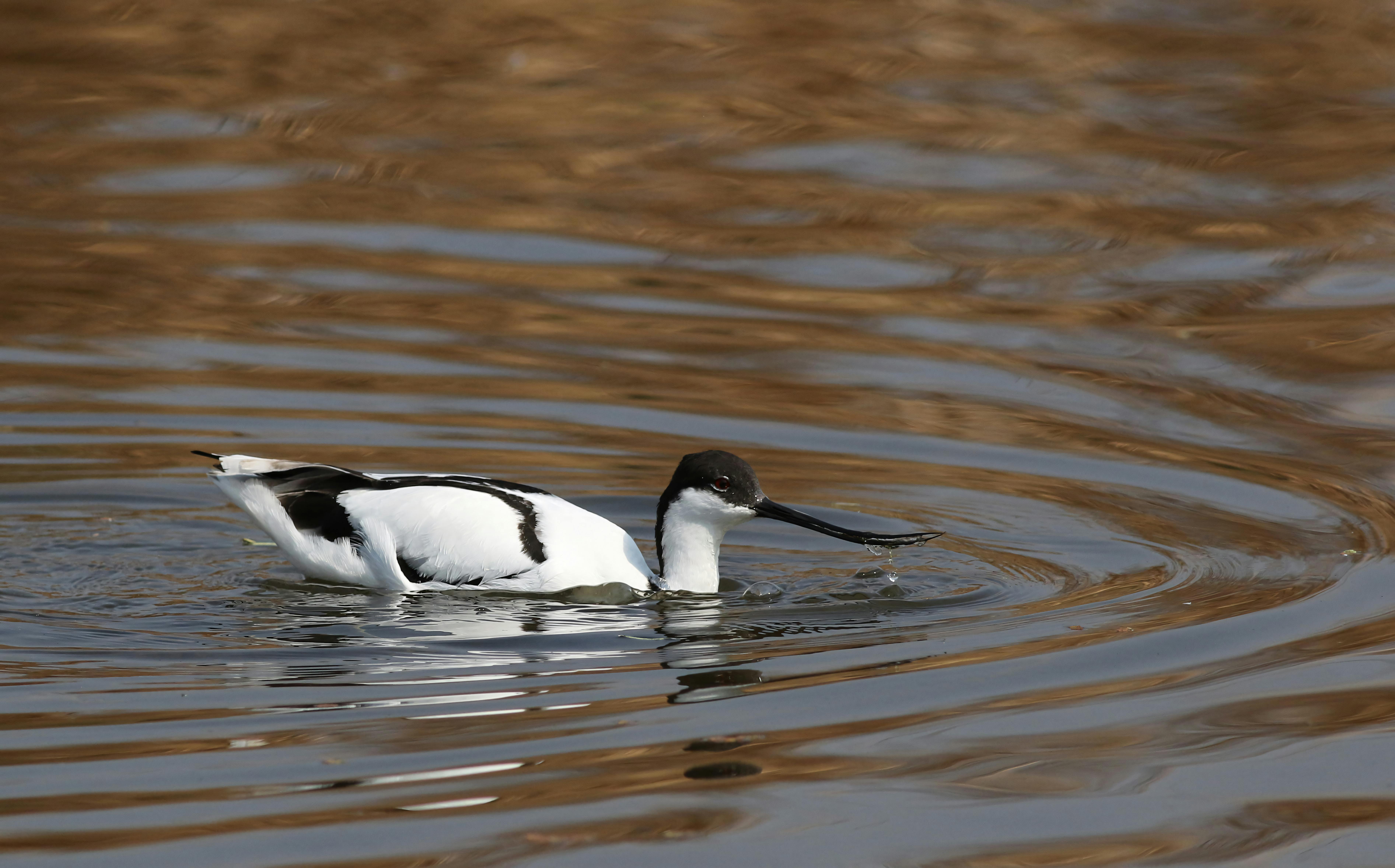 Eco-Friendly Wallets: Sustainable Choices for Your Everyday Carry
