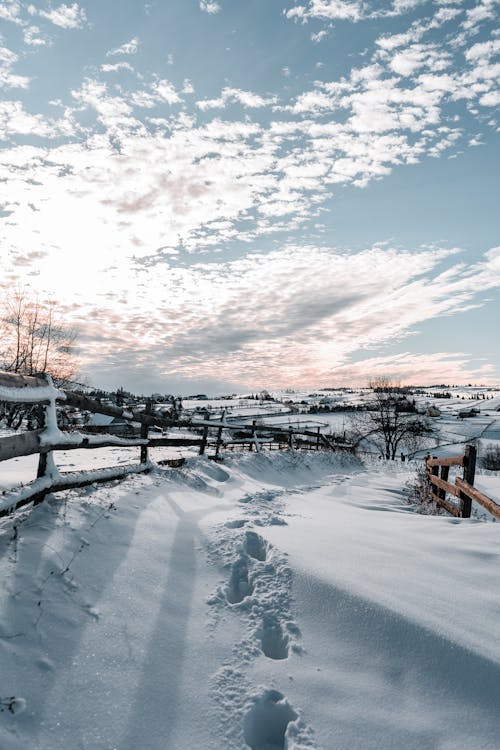 Campo De Nieve Blanca