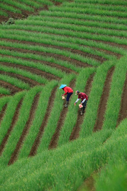 農耕圖 4,000+ 張最佳農耕相片· 100% 免費下載· Pexels 圖庫相片