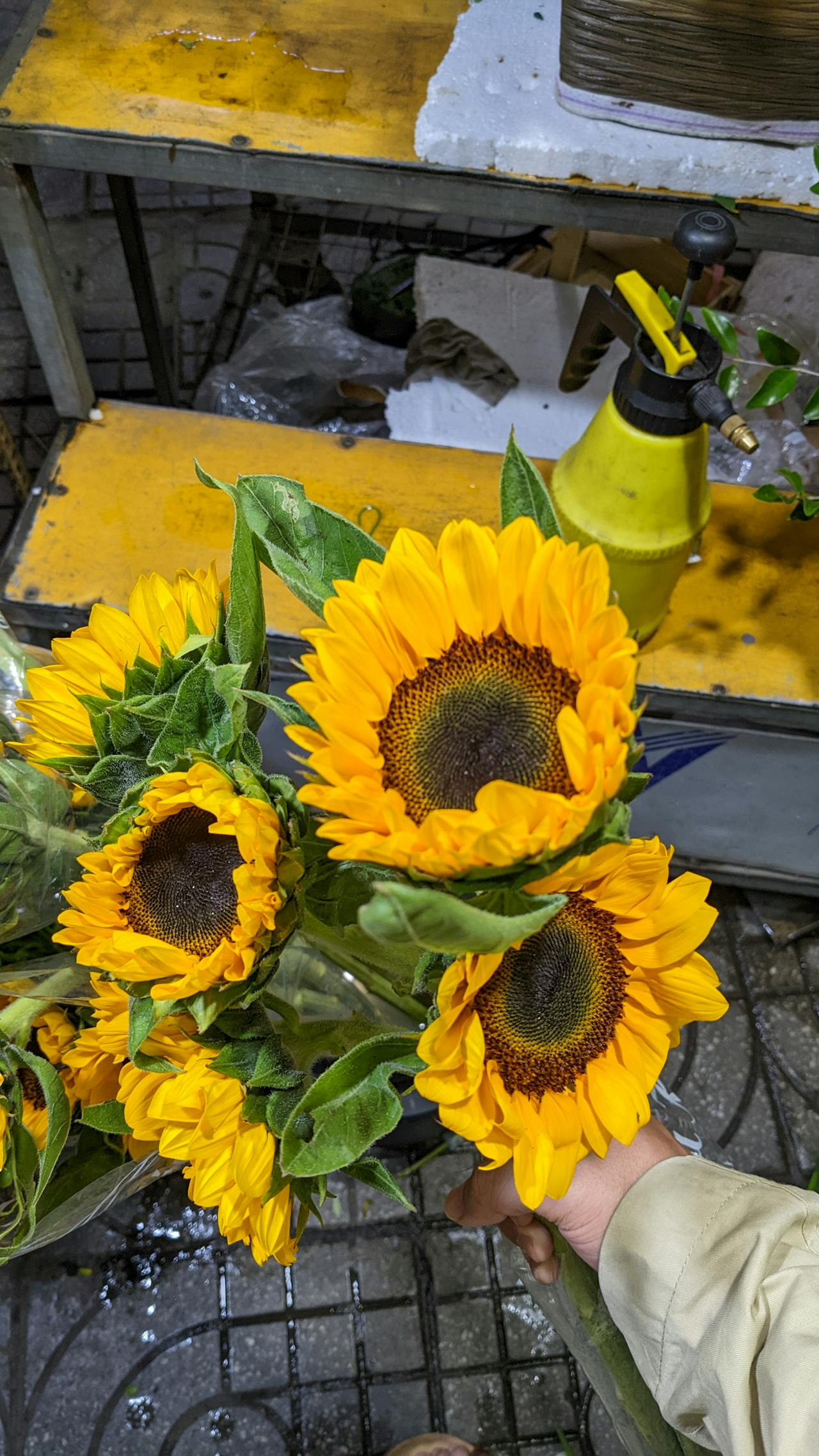 Ngũ uẩn (Pañcaskandha – 五蘊) là gì?