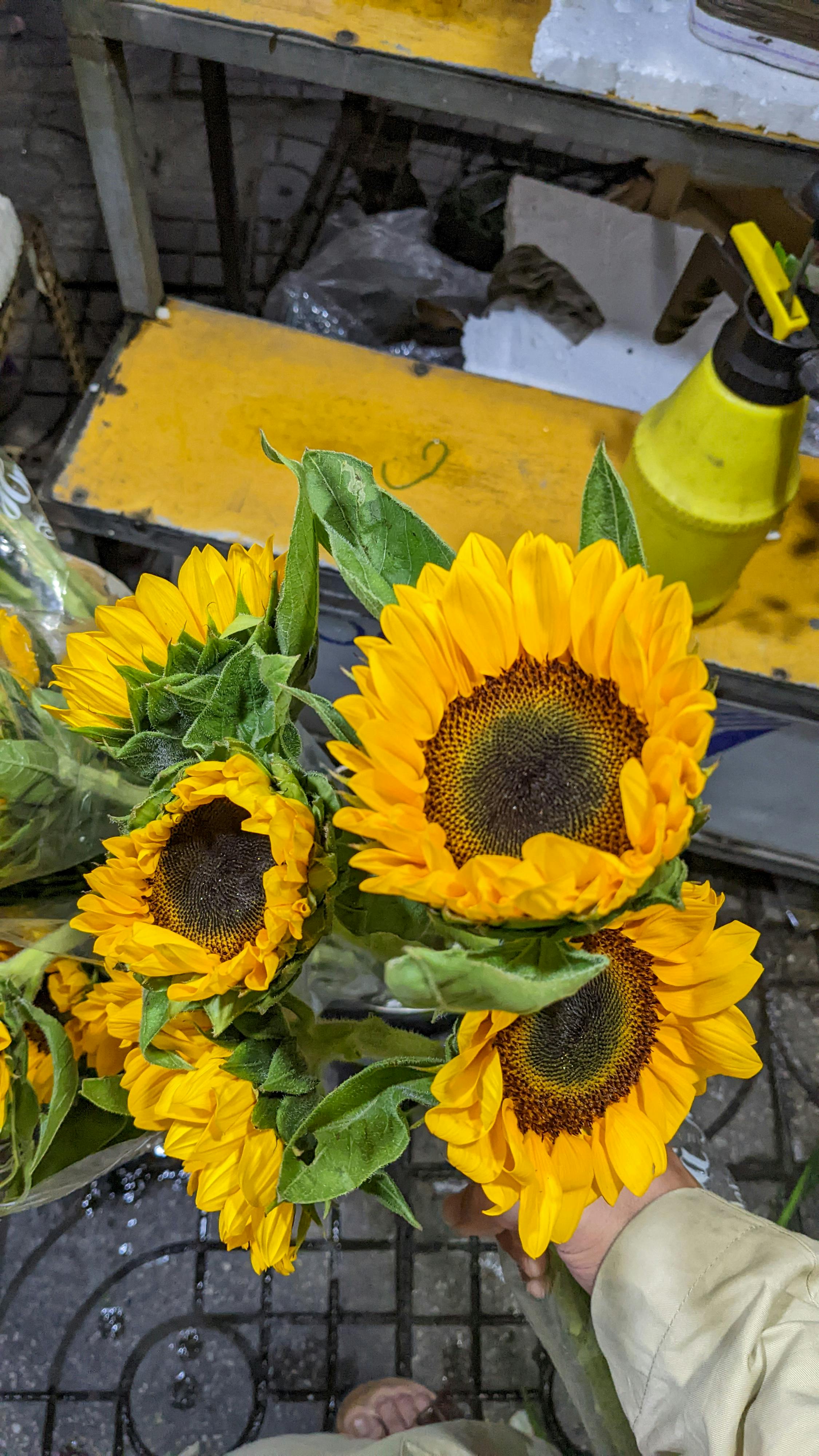 Danh sách theo thẻ cham-soc-thu-cung