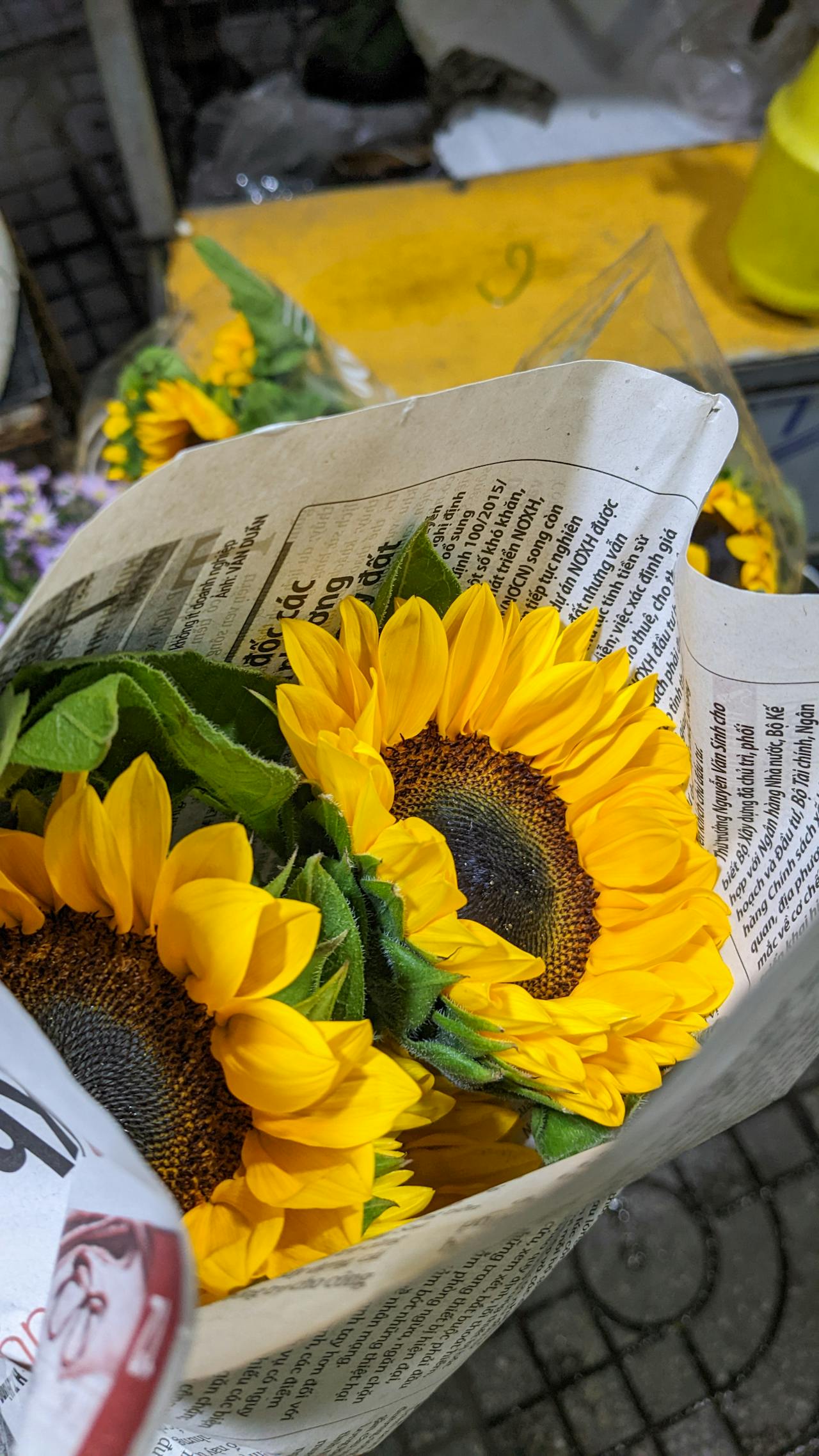 Thám tử lừng danh Conan | Chương 0492