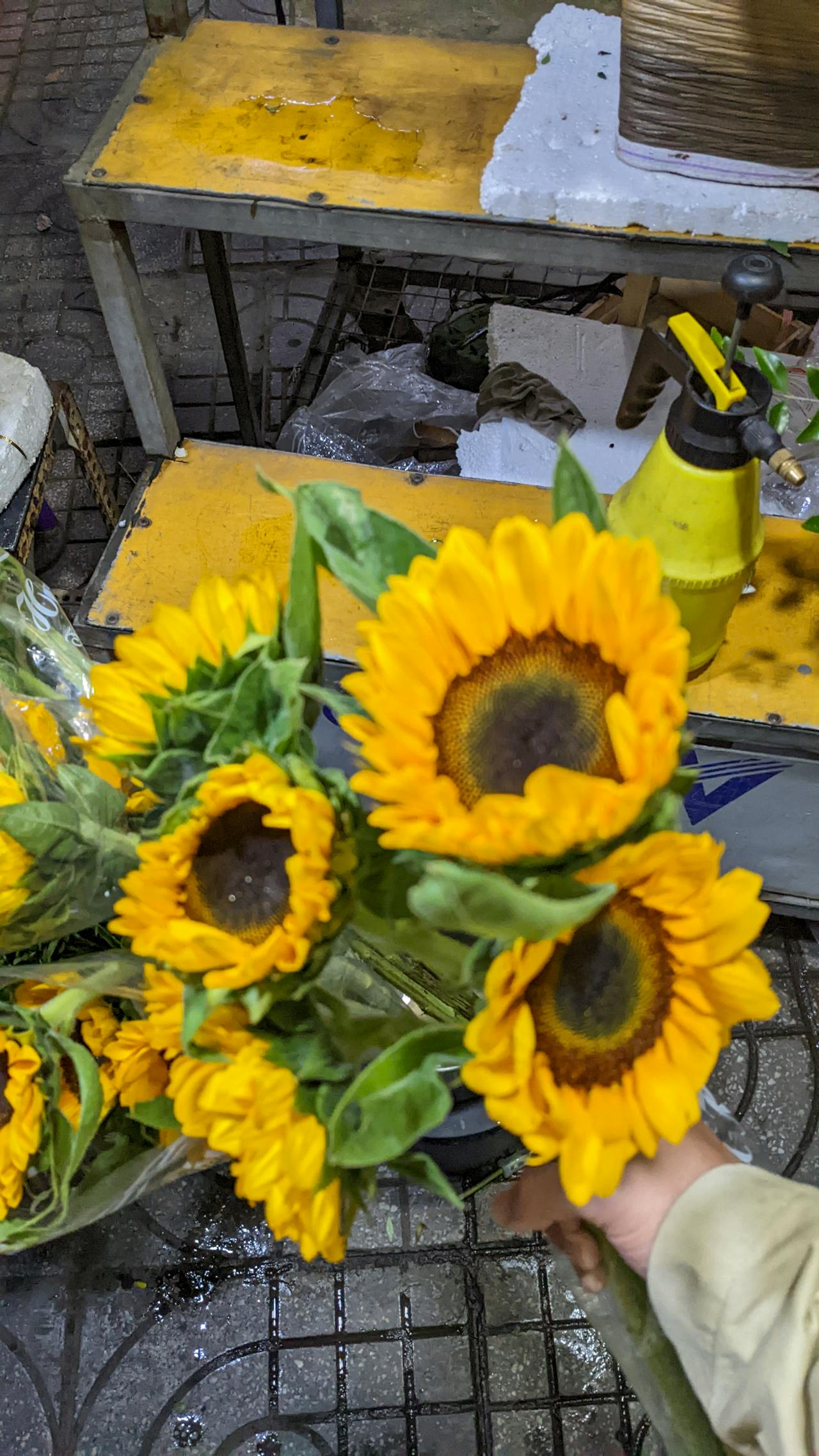 Cẩm nang du lịch Măng Đen