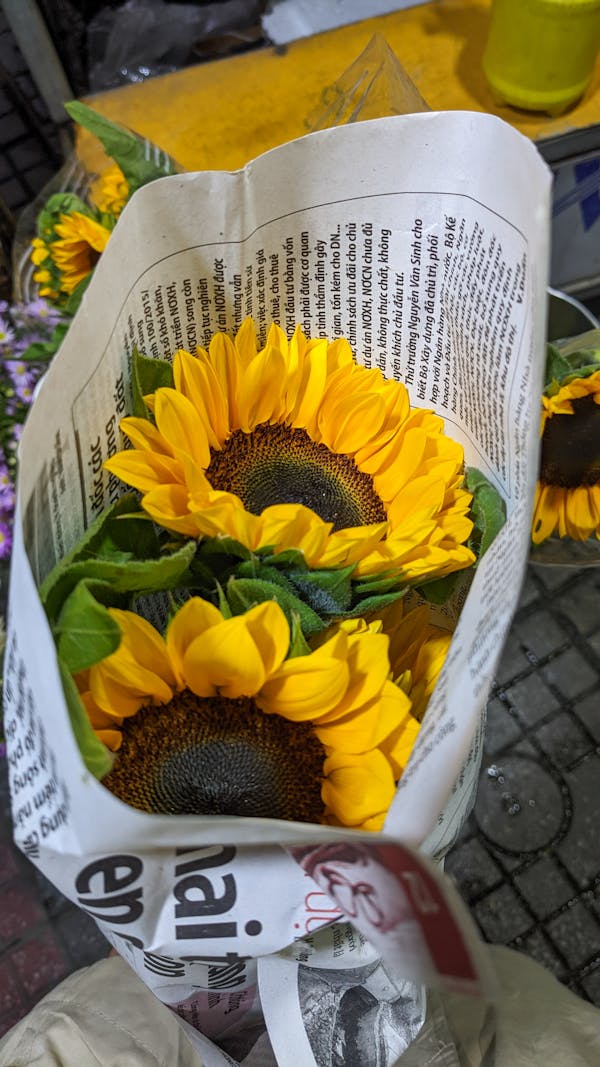 Trung tâm nghiên cứu văn học, phát triển nhà văn Việt Nam