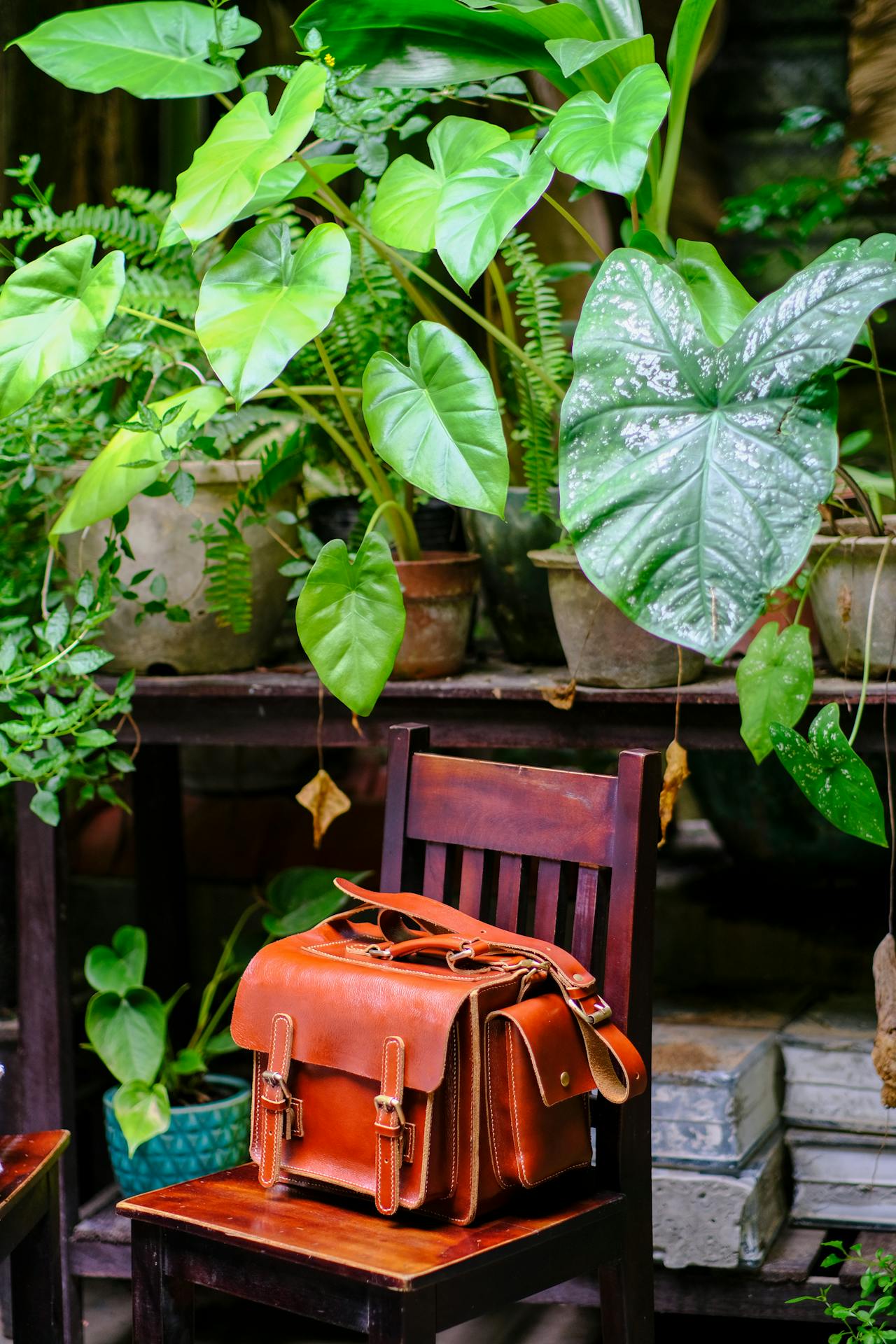 Gieo trồng hạnh phúc | Chương 36