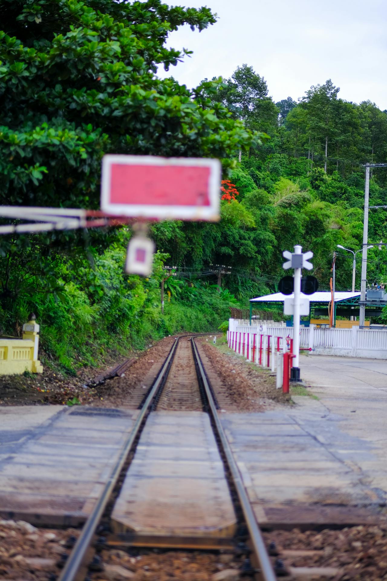 Chim lửa | Chương 65