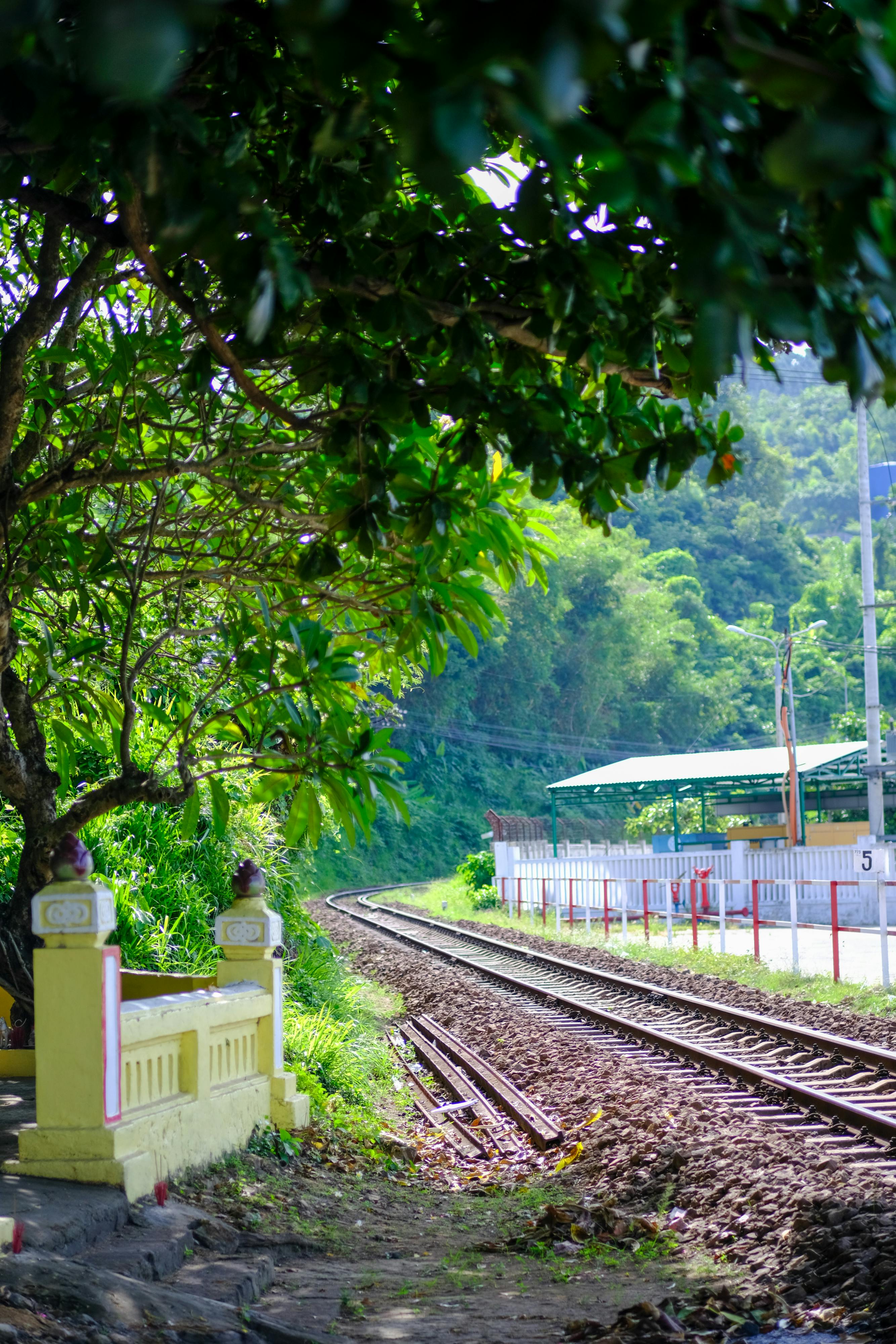 Thám tử lừng danh Conan | Chương 0949 696 – manga, gosho aoyama, case closed, tham tu lung danh conan, conan, detective conan, truyen tranh, trinh tham, pha an, trinh tham, kinh di, truyen conan, doc truyen conan, tham tu lung danh conan chuong 0949, tham tu lung danh conan 0949.