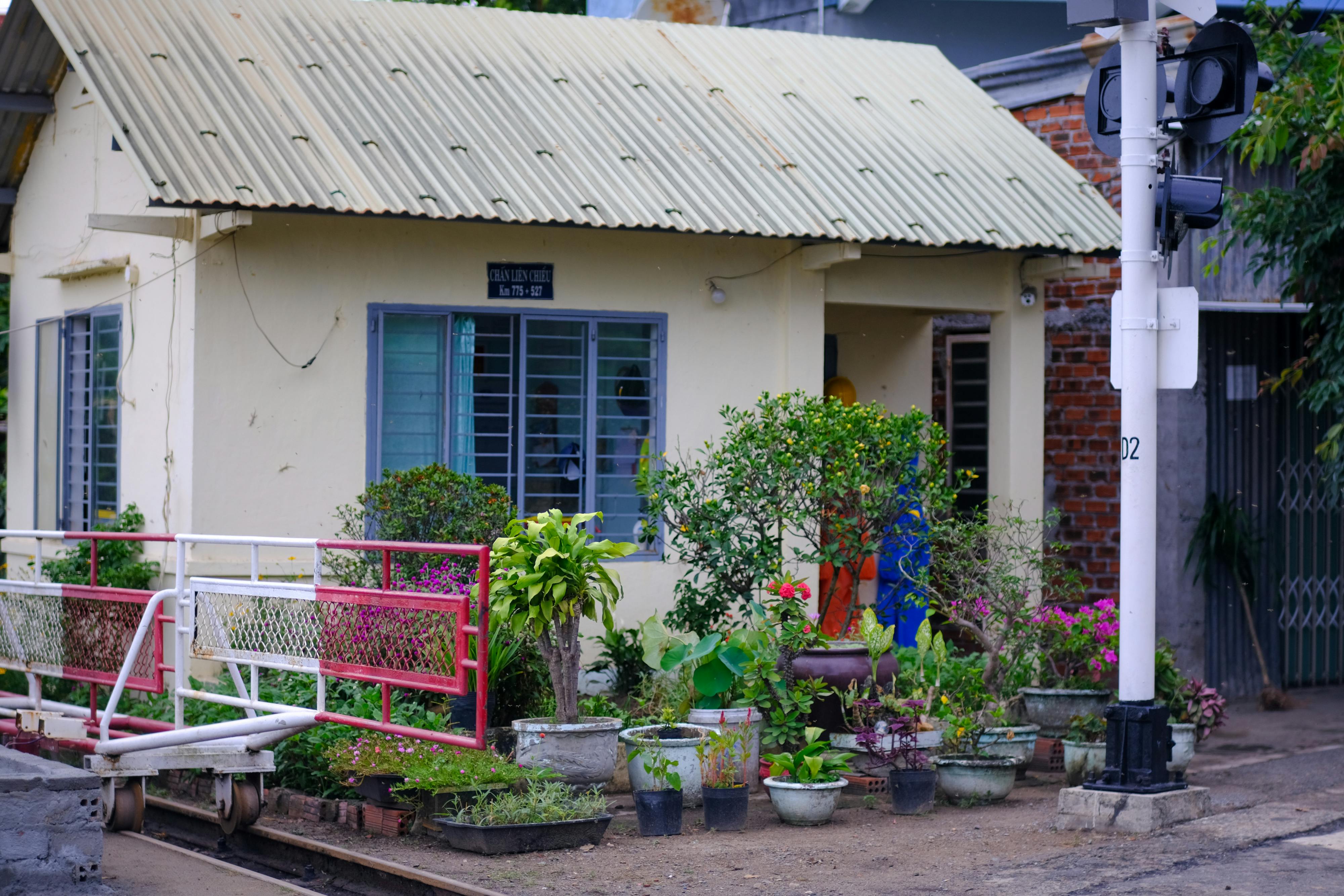 Cuộc sống không chỉ là sự sinh tồn của kẻ mạnh nhất Cuộc sống không chỉ là sự sinh tồn của kẻ mạnh nhất 679 – khoa hoc, sinh hoc, sinh ton, cay coi, tien hoa, cay coi sinh ton.