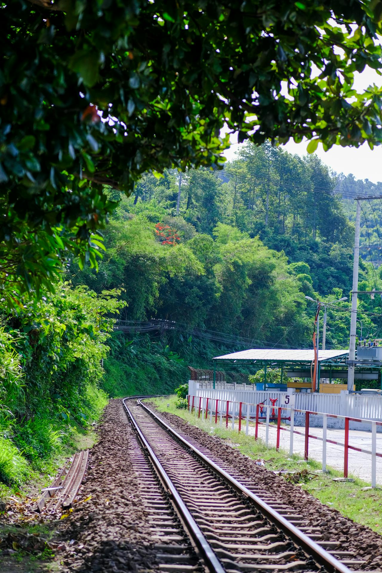 Tuyển tập viết văn năm 2025