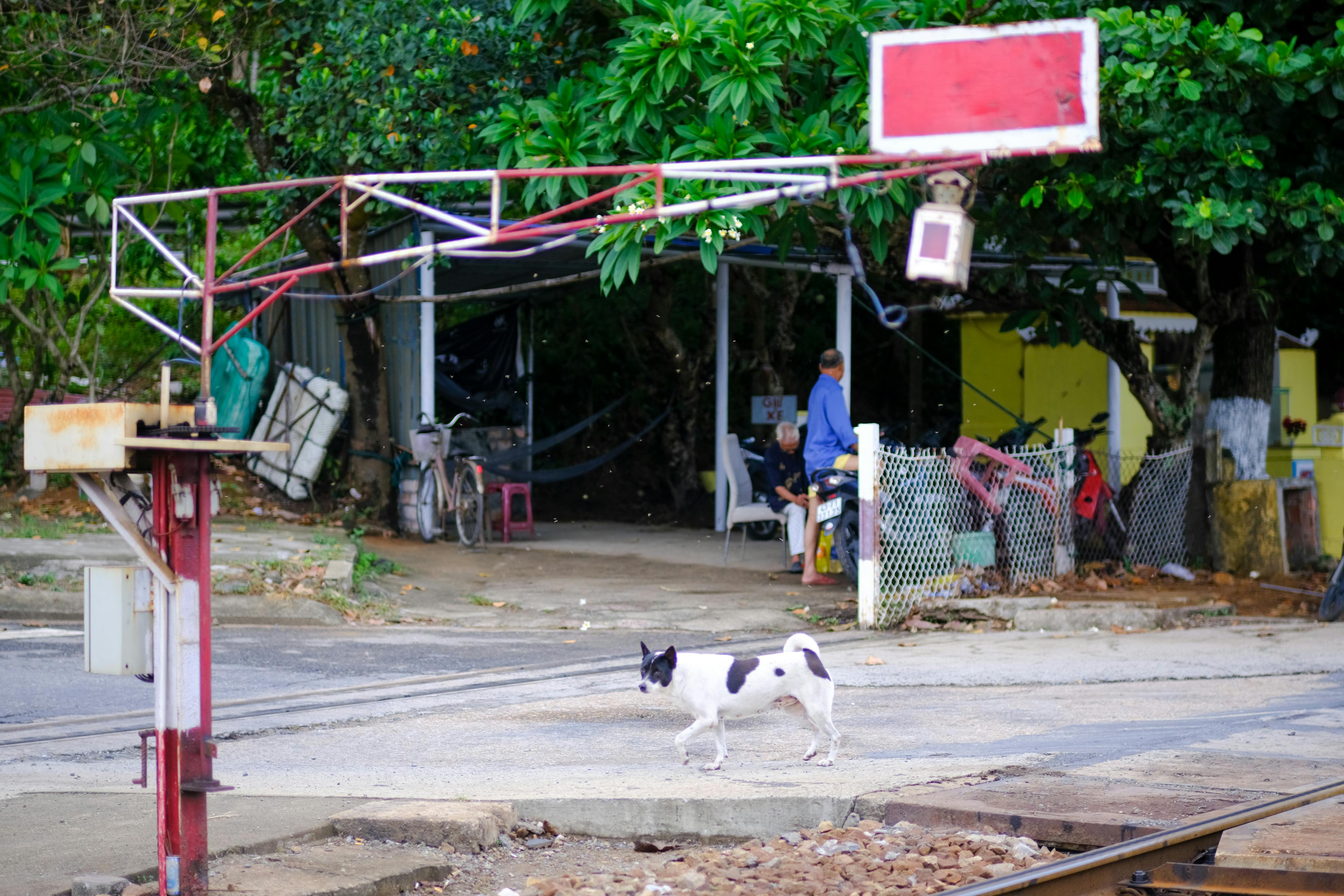 Trung tâm nghiên cứu văn học, phát triển nhà văn Việt Nam