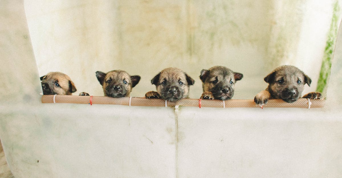 提升生活品質的五大簡單習慣,讓你每天都更有活力