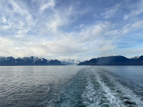 Photo by Zaval Cristi