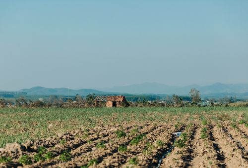 Free Scenic view of farmland in Kon Tum, Vietnam with mountains in the background. Stock Photo