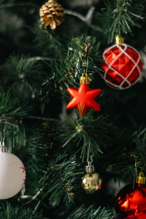 Festive Christmas Tree with Colorful Ornaments · Free Stock Photo