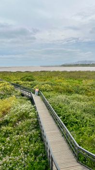 Man standing on boardwalk through green coastal wetlands, expansive sky above.