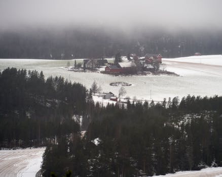 Foggy winter landscape of traditional red farmhouses in Prestfoss, Norway.