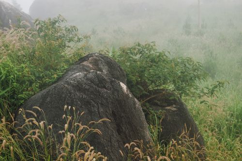 Free Misty morning landscape featuring lush greenery and large rocks in Kon Tum, Vietnam. Stock Photo