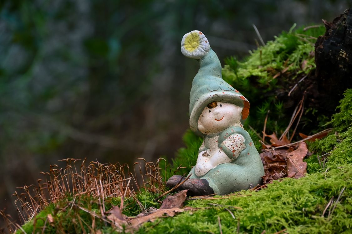 Resting Elf Charming Elf Figurine in Mossy Forest Setting · Free Stock Photo