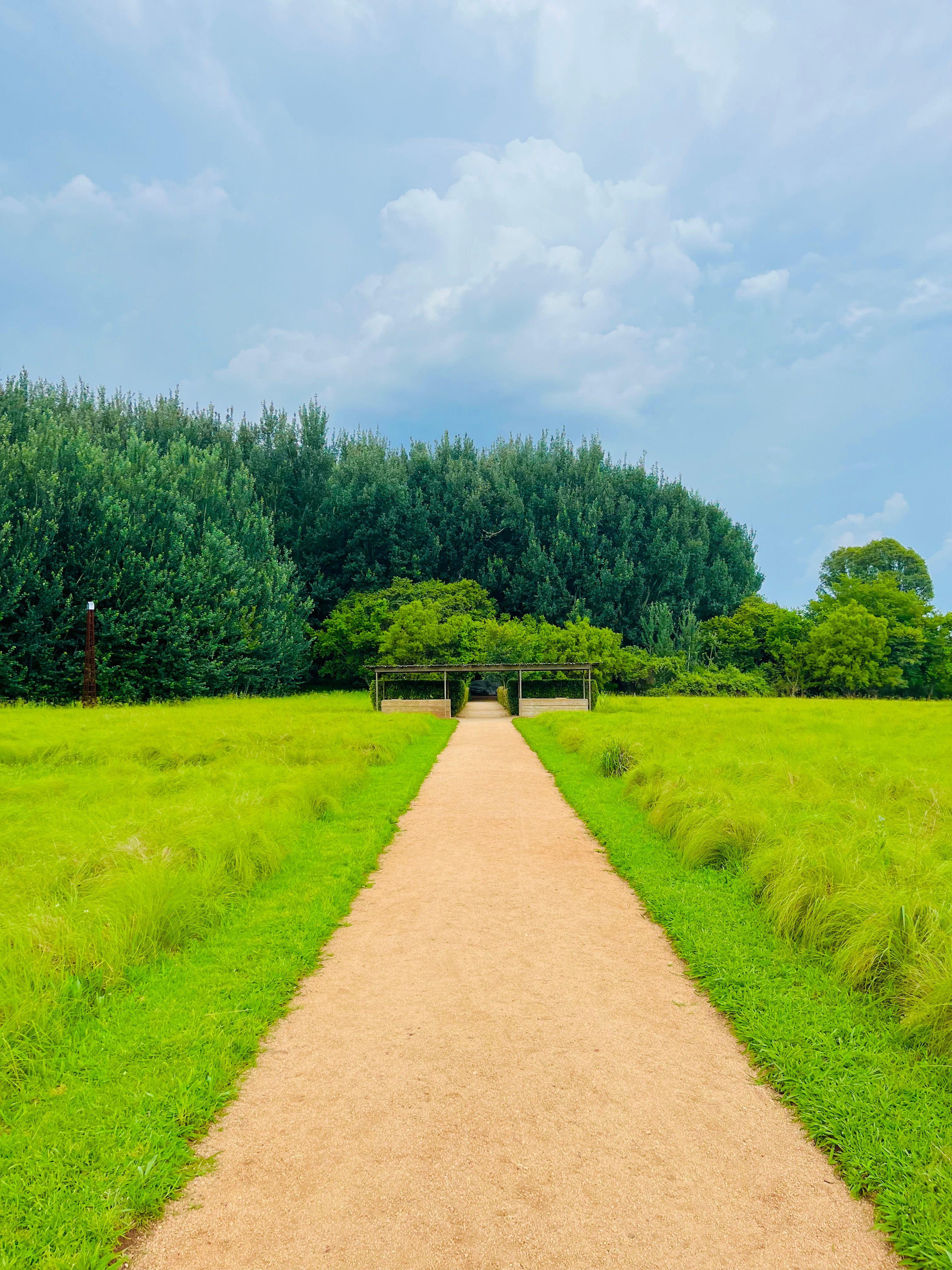 Tranquil Garden Pathway through Green Fields · Free Stock Photo